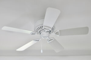 %Focuskw% | Grapids Home Services white traditional ceiling fan