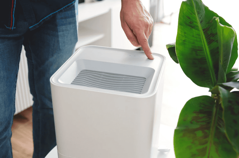 Use Air Purifiers and UV Systems